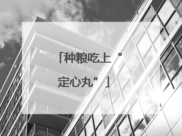种粮吃上“定心丸”