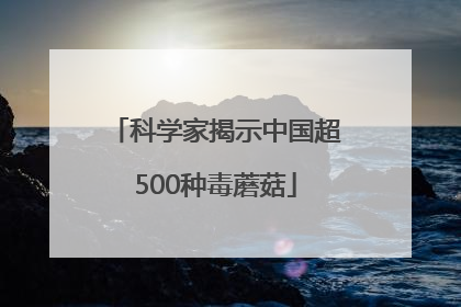 科学家揭示中国超500种毒蘑菇