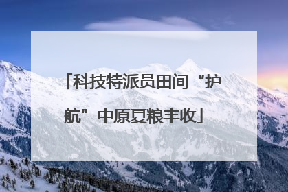 科技特派员田间“护航”中原夏粮丰收