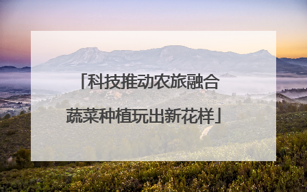 科技推动农旅融合 蔬菜种植玩出新花样