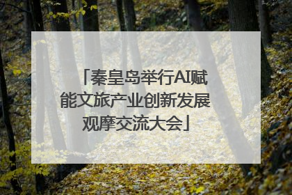 秦皇岛举行AI赋能文旅产业创新发展观摩交流大会
