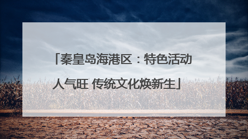 秦皇岛海港区：特色活动人气旺 传统文化焕新生