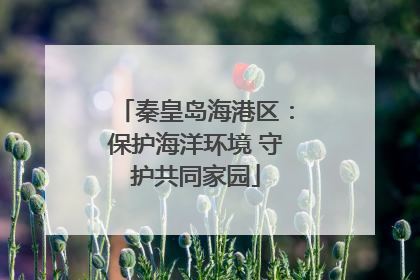 秦皇岛海港区：保护海洋环境 守护共同家园