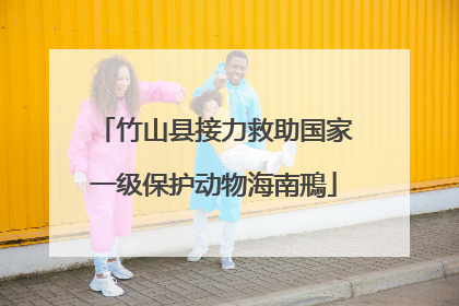 竹山县接力救助国家一级保护动物海南鳽