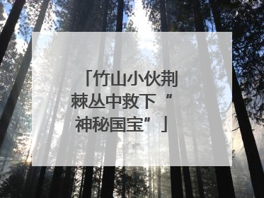 竹山小伙荆棘丛中救下“神秘国宝”
