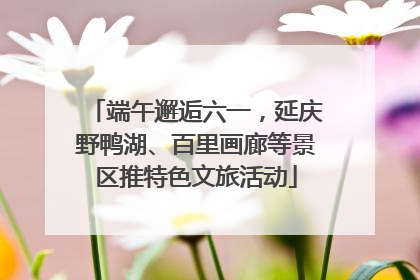 端午邂逅六一，延庆野鸭湖、百里画廊等景区推特色文旅活动