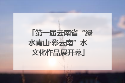 第一届云南省“绿水青山·彩云南”水文化作品展开幕