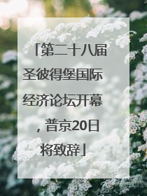 第二十八届圣彼得堡国际经济论坛开幕，普京20日将致辞