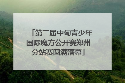 第二届中匈青少年国际魔方公开赛郑州分站赛圆满落幕