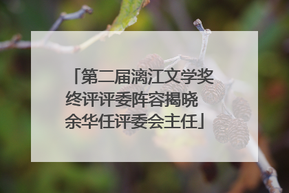 第二届漓江文学奖终评评委阵容揭晓 余华任评委会主任