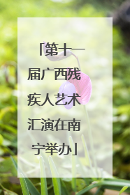 第十一届广西残疾人艺术汇演在南宁举办