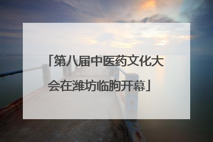 第八届中医药文化大会在潍坊临朐开幕