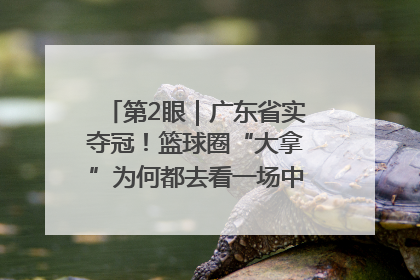 第2眼｜广东省实夺冠！篮球圈“大拿”为何都去看一场中学生比赛？