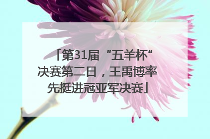 第31届“五羊杯”决赛第二日，王禹博率先挺进冠亚军决赛