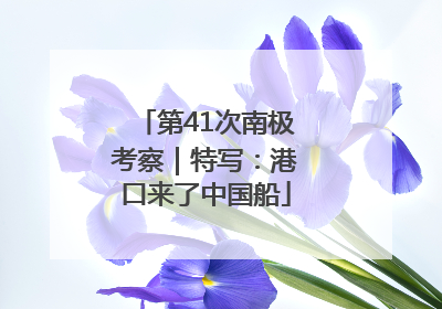 第41次南极考察｜特写：港口来了中国船
