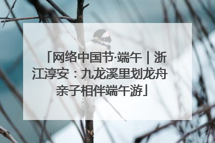 网络中国节·端午｜浙江淳安：九龙溪里划龙舟 亲子相伴端午游