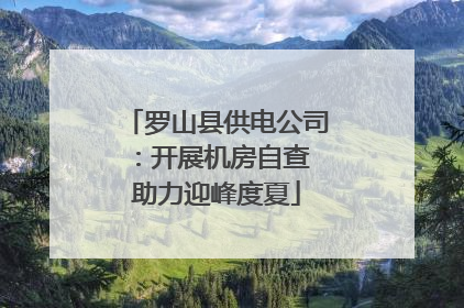 罗山县供电公司：开展机房自查 助力迎峰度夏