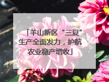 羊山新区“三夏”生产全面发力，护航农业稳产增收
