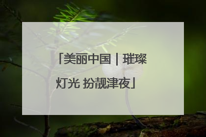 美丽中国｜璀璨灯光 扮靓津夜