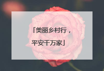 美丽乡村行，平安千万家