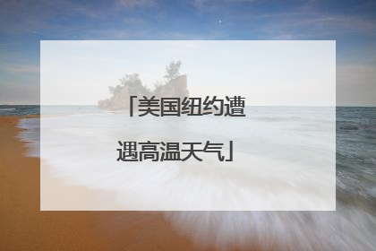 美国纽约遭遇高温天气