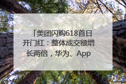 美团闪购618首日开门红：整体成交额增长两倍，华为、Apple、沃尔玛等近800个品牌翻倍增长