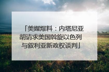 美媒爆料：内塔尼亚胡请求美国斡旋以色列与叙利亚新政权谈判