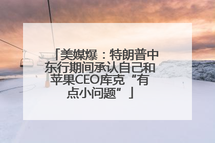 美媒爆：特朗普中东行期间承认自己和苹果CEO库克“有点小问题”