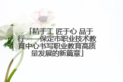 精于工 匠于心 品于行——保定市职业技术教育中心书写职业教育高质量发展的新篇章