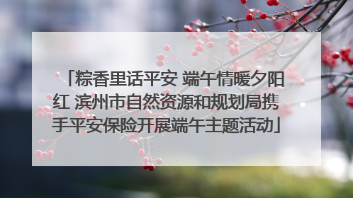 粽香里话平安 端午情暖夕阳红 滨州市自然资源和规划局携手平安保险开展端午主题活动