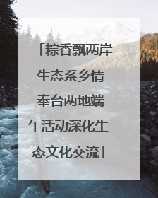 粽香飘两岸 生态系乡情 奉台两地端午活动深化生态文化交流