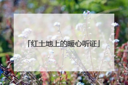 红土地上的暖心听证
