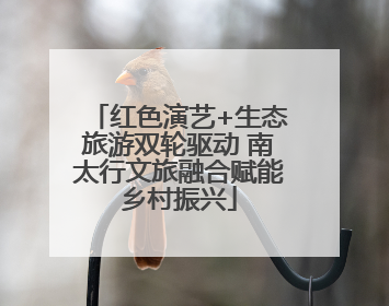 红色演艺+生态旅游双轮驱动 南太行文旅融合赋能乡村振兴