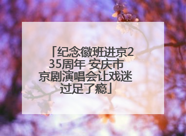 纪念徽班进京235周年 安庆市京剧演唱会让戏迷过足了瘾