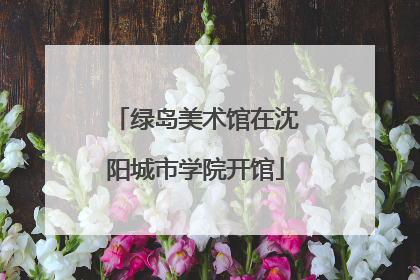 绿岛美术馆在沈阳城市学院开馆