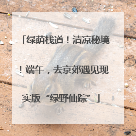 绿荫栈道！清凉秘境！端午，去京郊遇见现实版“绿野仙踪”