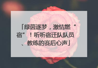 绿茵逐梦，激情燃“宿”！听听宿迁队队员、教练的赛后心声