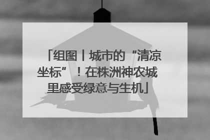 组图丨城市的“清凉坐标”！在株洲神农城里感受绿意与生机