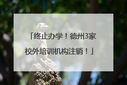 终止办学！德州3家校外培训机构注销！