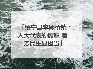 绥宁县李熙桥镇：人大代表勤履职 服务民生显担当