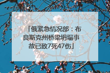 俄紧急情况部：布良斯克州桥梁坍塌事故已致7死47伤