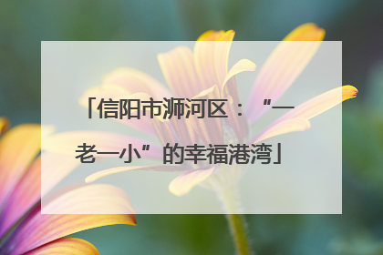 信阳市浉河区：“一老一小”的幸福港湾