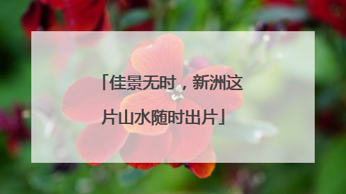 佳景无时，新洲这片山水随时出片