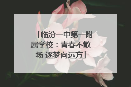 临汾一中第一附属学校：青春不散场 逐梦向远方