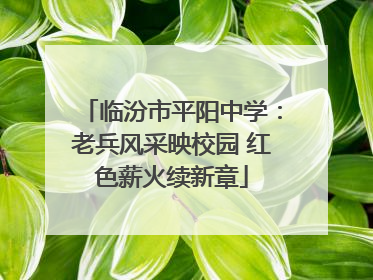 临汾市平阳中学：老兵风采映校园 红色薪火续新章