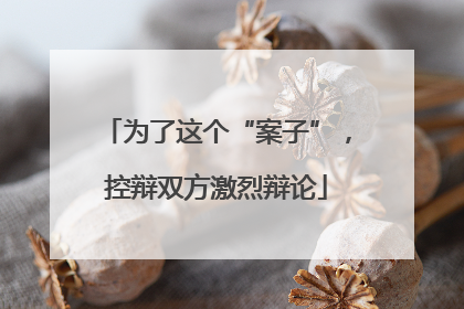 为了这个“案子”，控辩双方激烈辩论