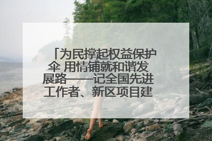 为民撑起权益保护伞 用情铺就和谐发展路——记全国先进工作者、新区项目建设中心干部卢小勇