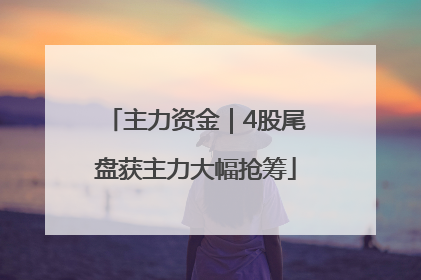 主力资金｜4股尾盘获主力大幅抢筹