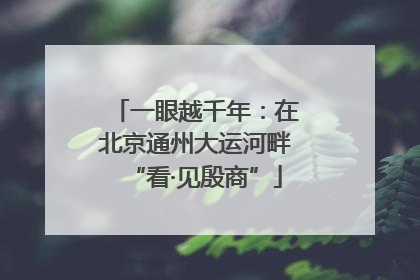 一眼越千年：在北京通州大运河畔“看·见殷商”