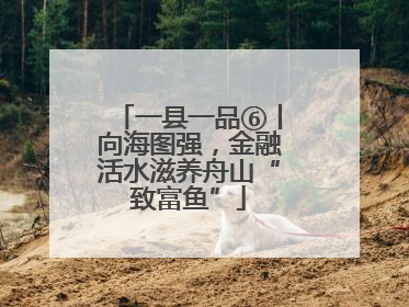 一县一品⑥丨向海图强，金融活水滋养舟山“致富鱼”